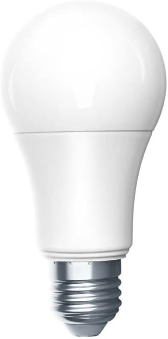 LED Lightbulb T1