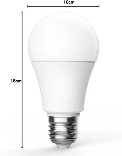 LED Lightbulb T1