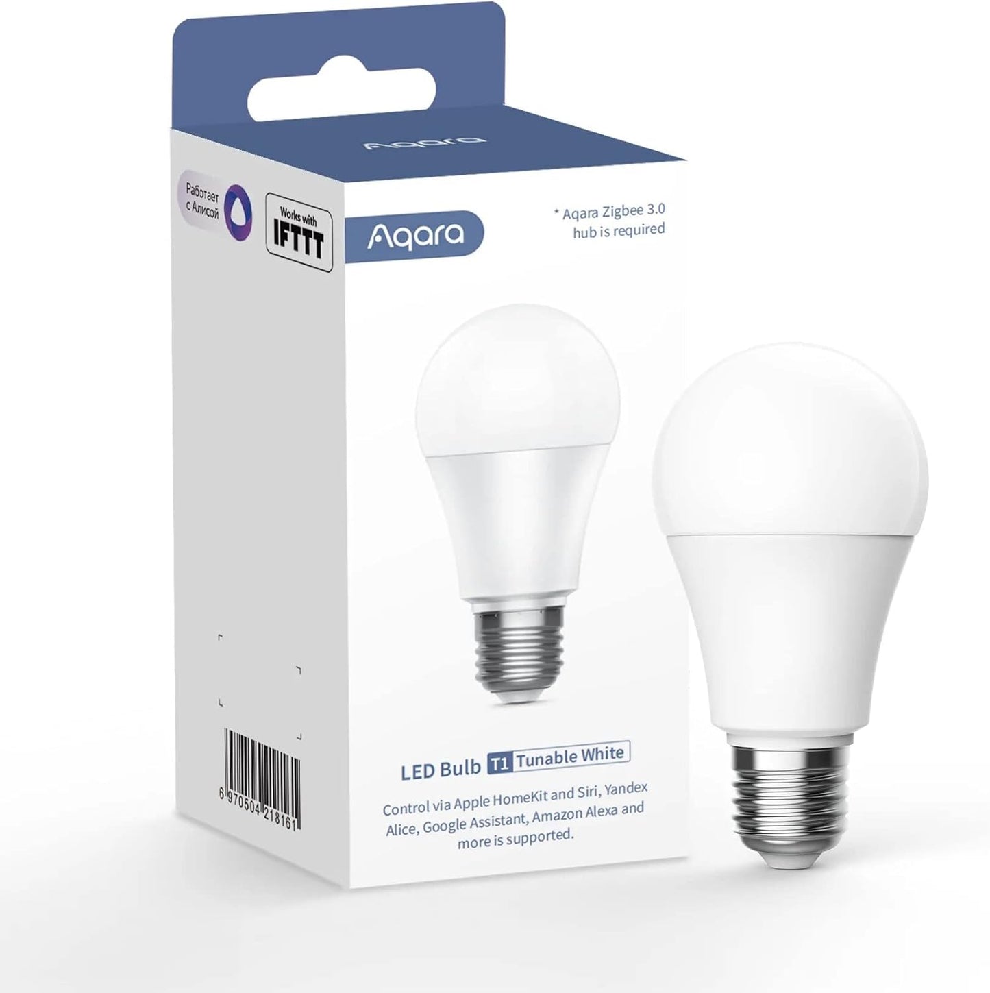 LED Lightbulb T1