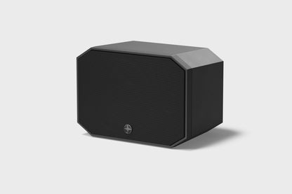 Satellite Speaker IP64 Client